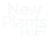 New Plants Motril